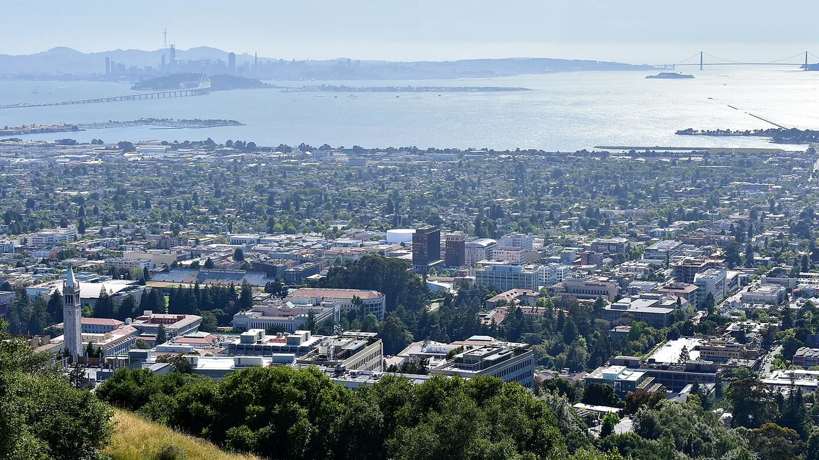 Berkeley cityscape