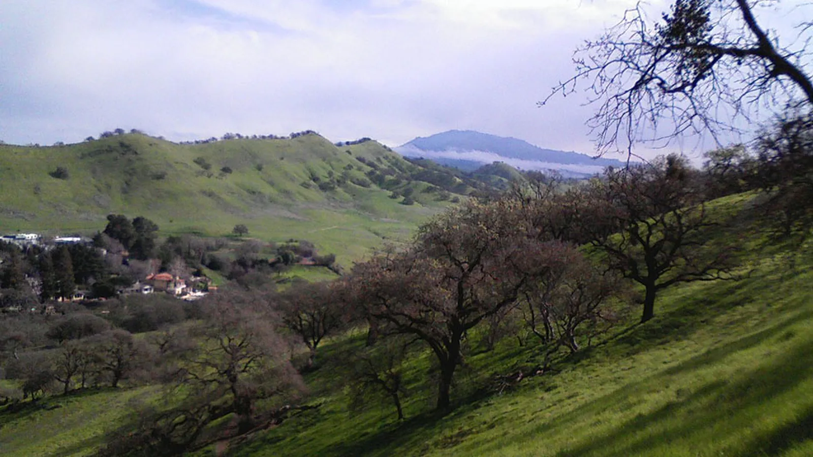 Shell Ridge Open Space