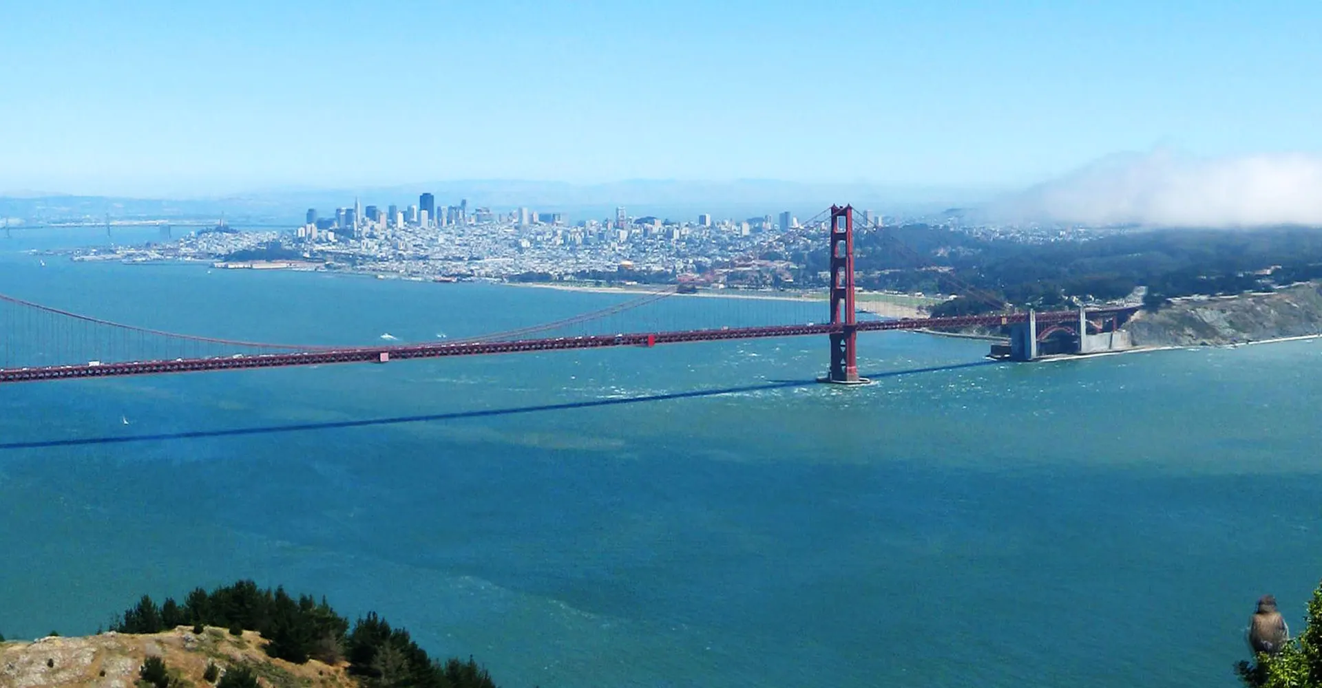 San Francisco County landscape