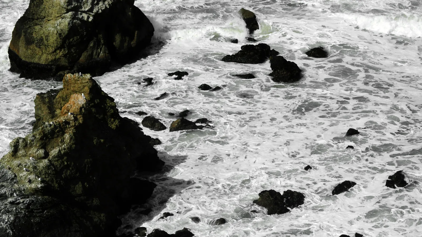 San Mateo County landscape