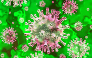 coronavirus
